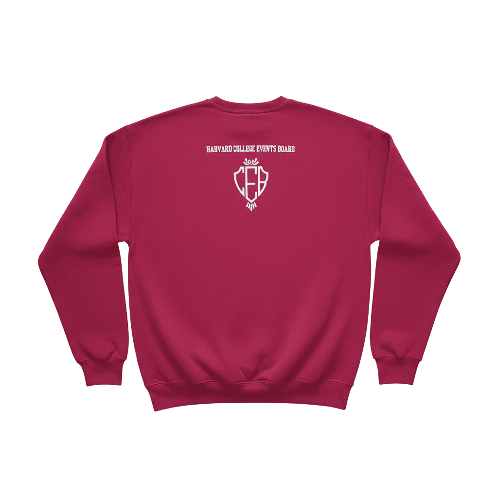 Harvard-Yale Game Sweatshirt - Back