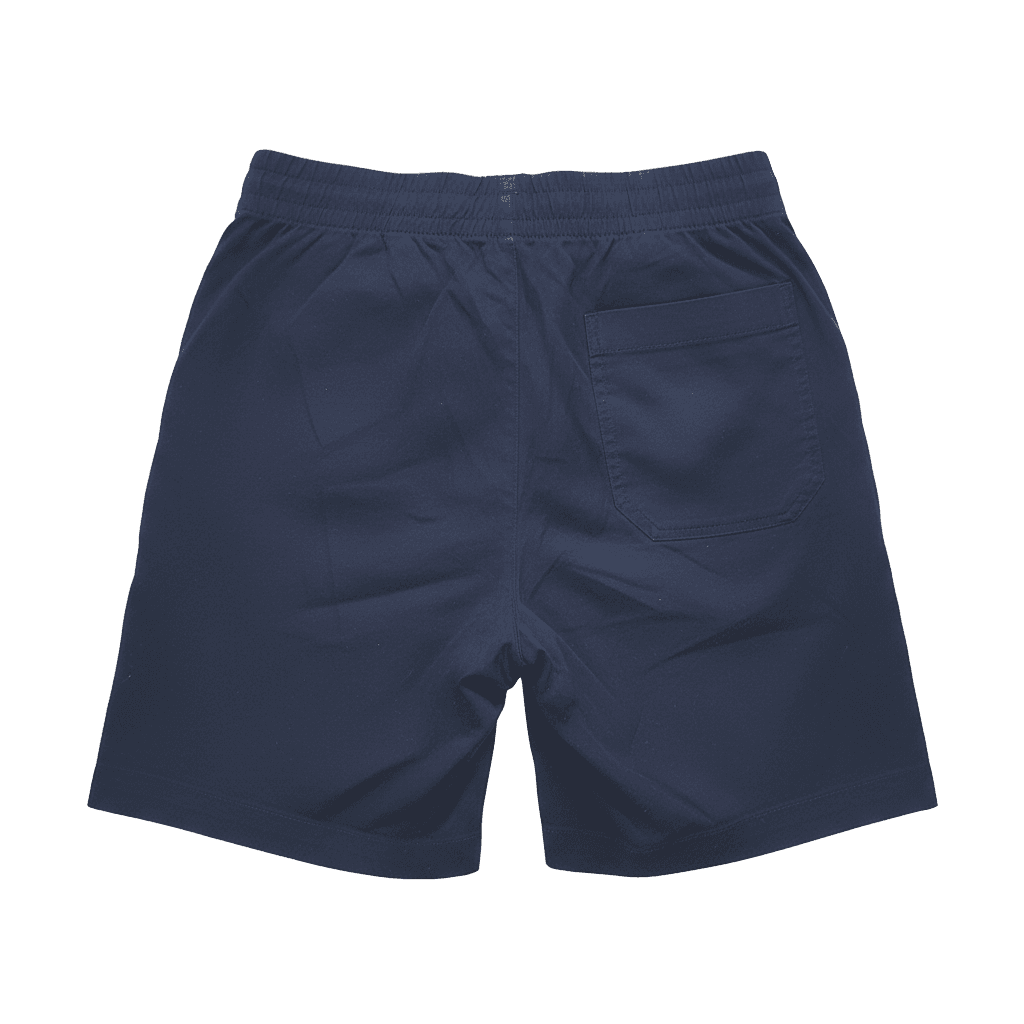 Blue Shorts - Back